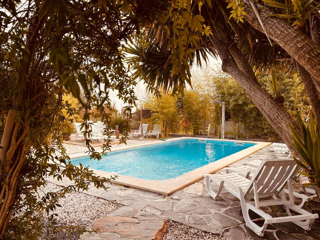São Pedro do CorvalCasa Rico Frade Garden的一个带两把椅子和一棵树的游泳池
