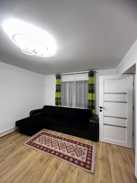 克卢日-纳波卡Camelia's Apartment的客厅配有黑色沙发和地毯。