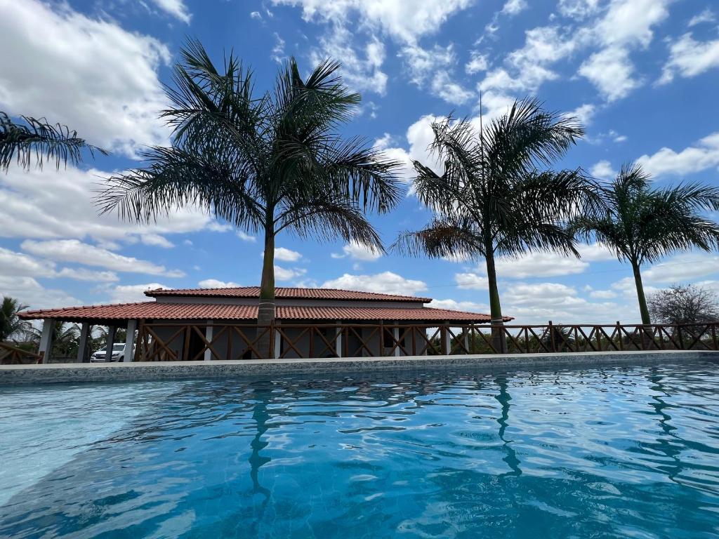 SerrinhaSítio recanto das Palmeiras的棕榈树和游泳池度假村