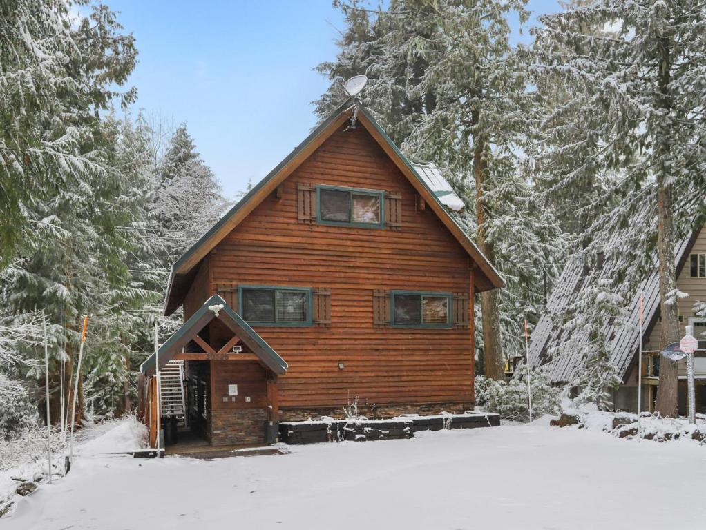 加文门特营Govy Alpine Getaway的雪中树下的小木屋