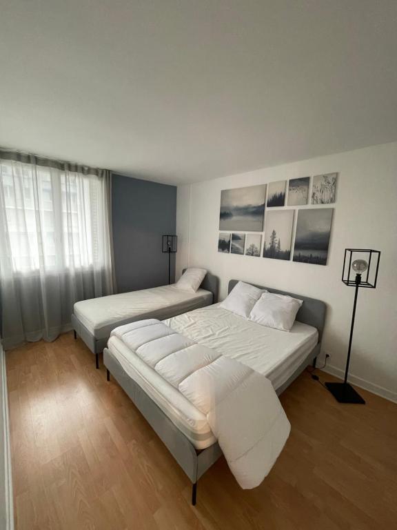 格勒诺布尔magnifique Duplex avec 2 chambres et parking gratuit的一间卧室配有两张床和一盏灯。