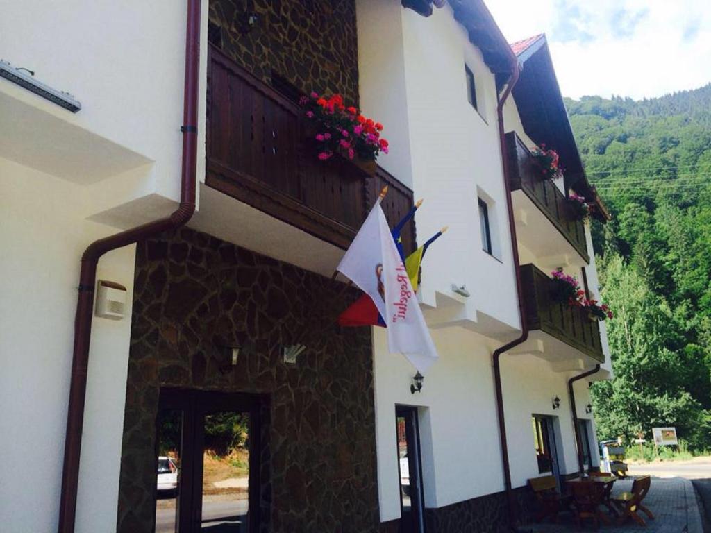 陶比斯特拉Hotel Popasul Regelui Transalpina的一面有旗帜的建筑