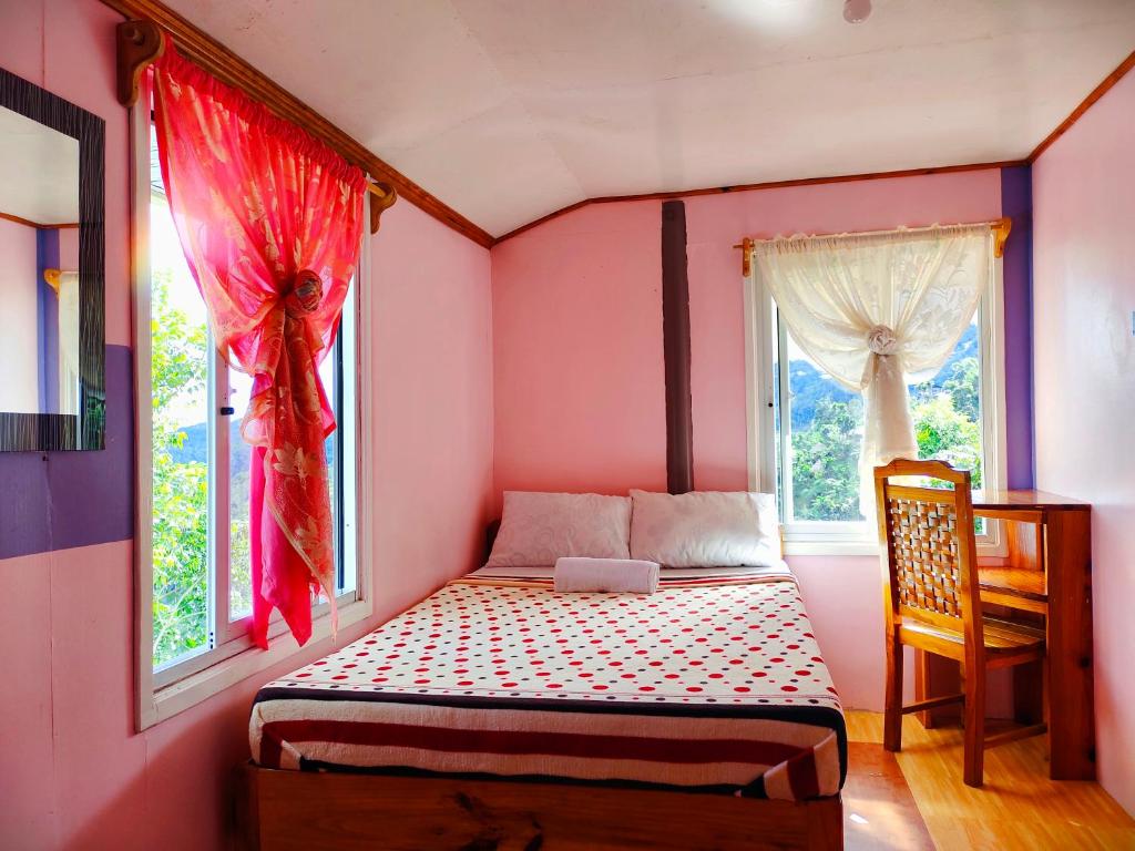 巴纳韦BANAUE EVERGREEN HOSTEL AND RESTAURANT的一间小卧室,配有床和2个窗户