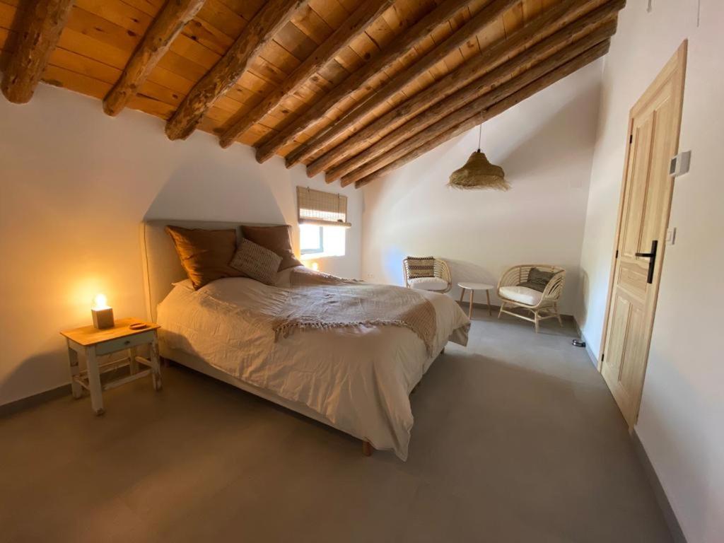 阿尔曼萨Finca Las Botas的一间卧室配有一张大床和一把椅子
