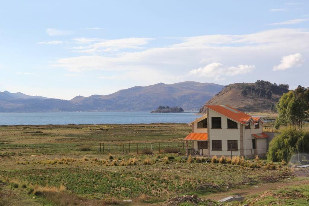 Lago Sagrado Titicaca - Casa de Campo & Agroturismo的水边田野中间的一座房子