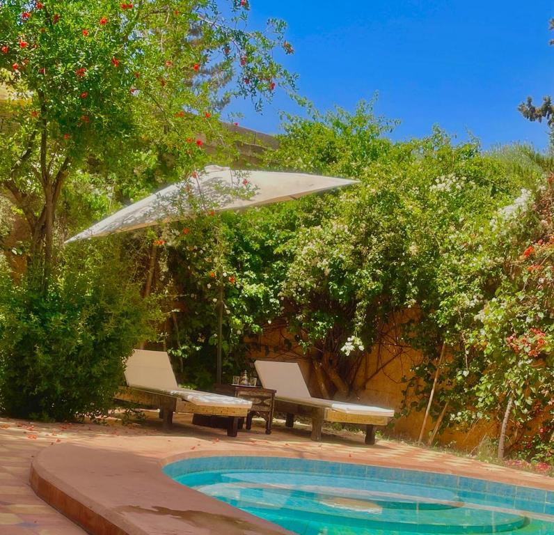 马拉喀什Villa Paradis的游泳池畔的一把遮阳伞和两把椅子