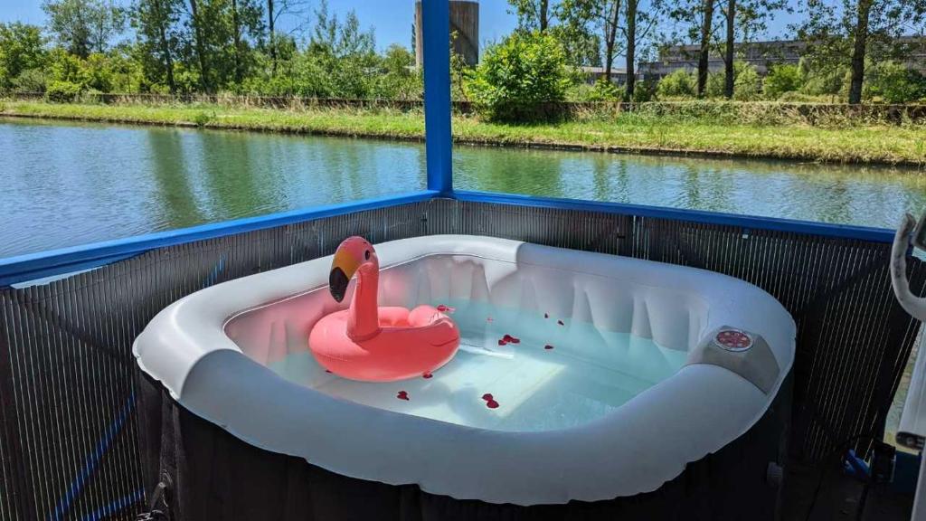 Cottage flottant terrasse gamme supérieure option jacuzzi proche Dijon的浴缸,水中有粉红色的天鹅