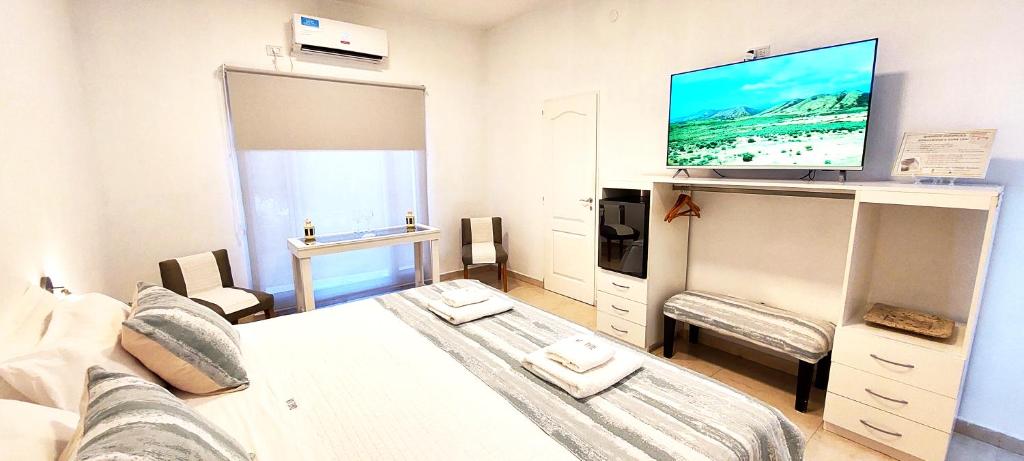 米娜克拉韦罗Hotel Boutique的小房间设有一张床和一台平面电视