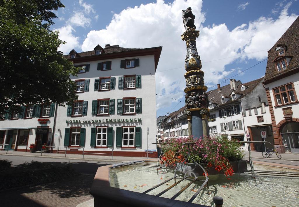 巴塞尔Spalenbrunnen Hotel & Restaurant Basel City Center的一座建有建筑物的城镇中央喷泉