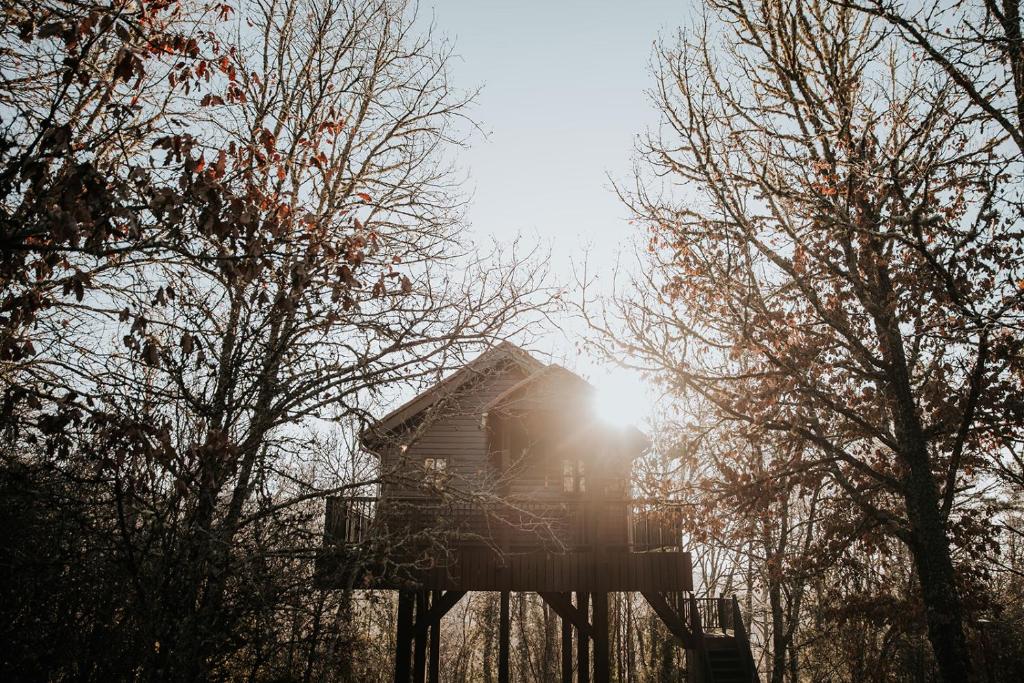 奥瑞阿卡杜佩里戈尔Cabane Rouge-Gorge的树屋,阳光照耀着树