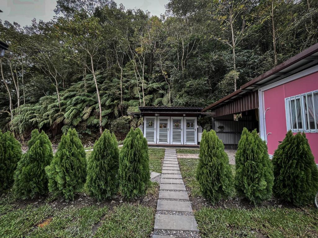 Yü-lan鉄木彩虹小屋的房子前面的一排松树