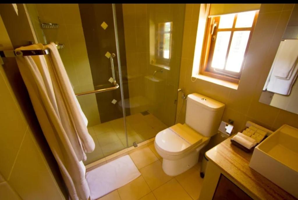 科伦坡Ellen’s Place的一间带卫生间和玻璃淋浴间的浴室