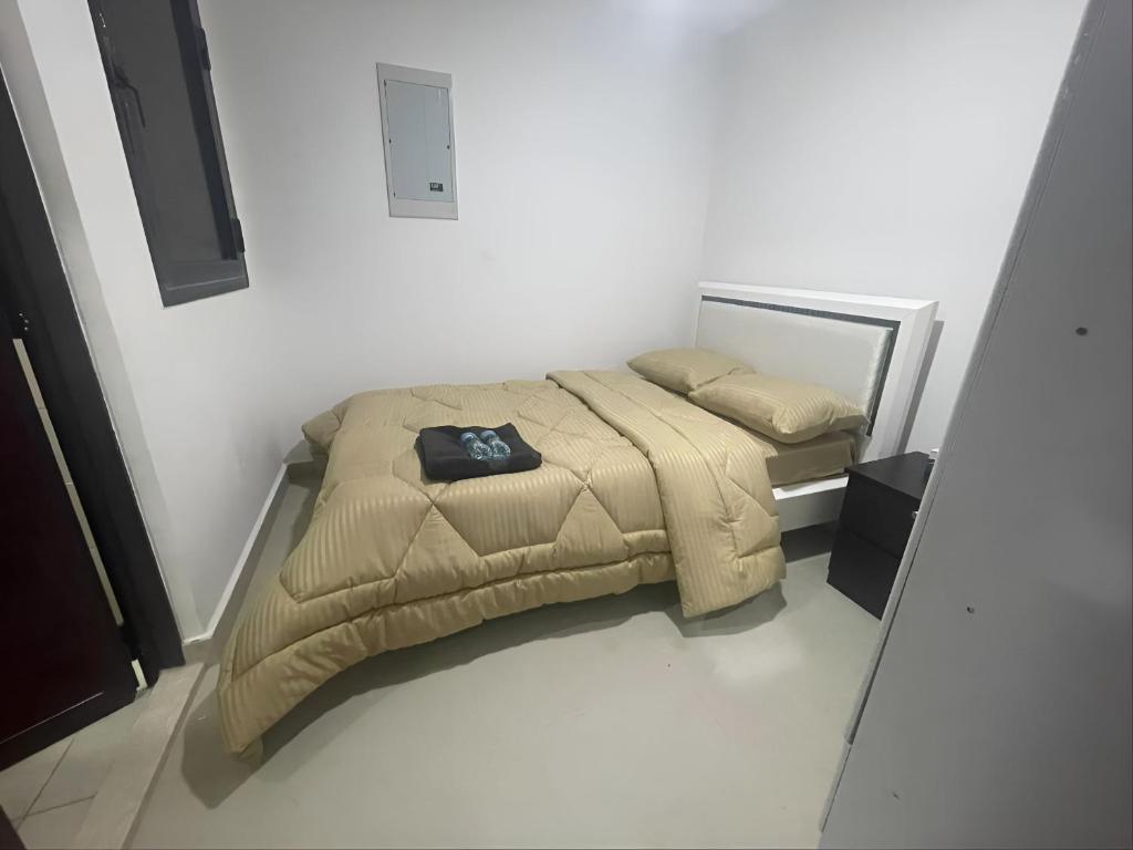 阿布扎比Heart of Abu Dhabi - Nice Affordable Master Room的一间卧室配有一张床和被子
