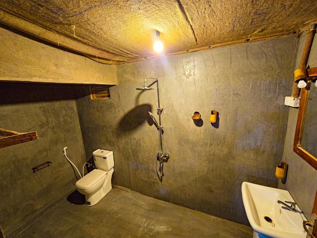 达瓦拉维Wild Safari Clay House的带淋浴、卫生间和盥洗盆的浴室