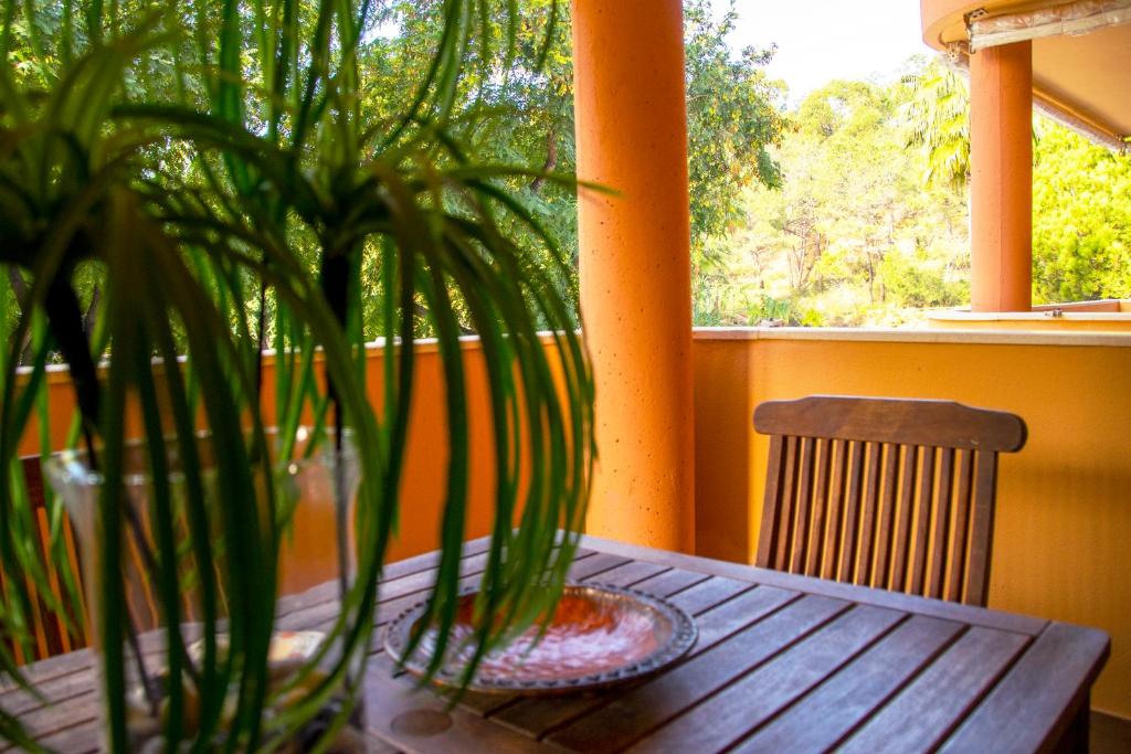 伊斯兰蒂拉La Antilla Dreams: Apartamento cerca del mar的花瓶上木桌,上面有植物