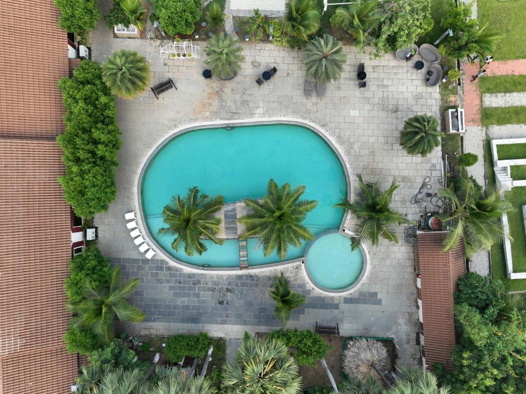 AnnavaramSpree One Resort And Convention Annavaram的享有棕榈树游泳池的顶部景致