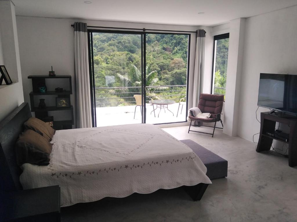 拉维加Habitación en casa Rural Campestre的一间卧室设有一张床和一个大窗户