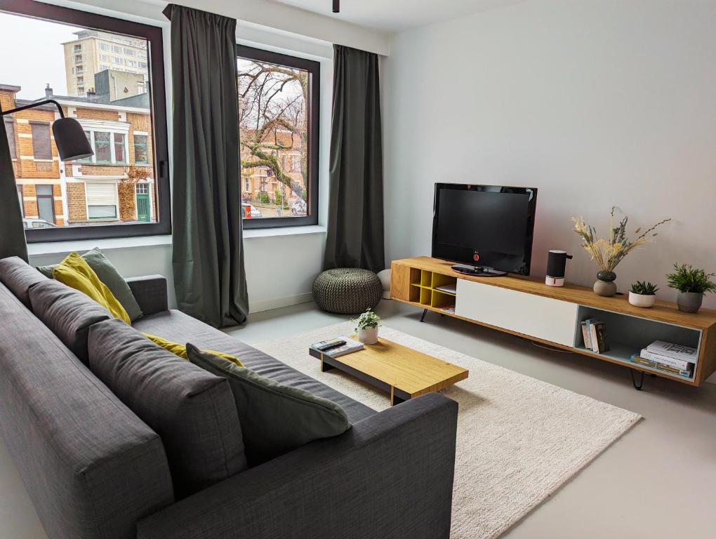 安特卫普Spacious and cosy apartment near Berchem Station的带沙发和平面电视的客厅