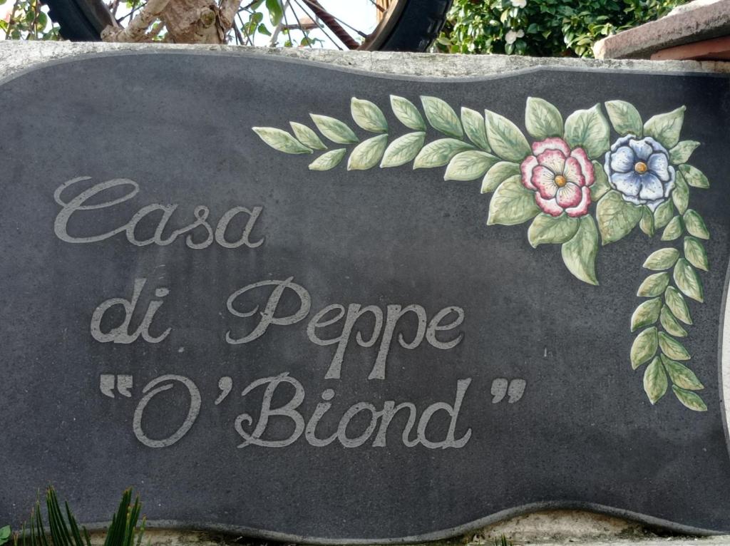 Casa di Peppe o'Biond平面图