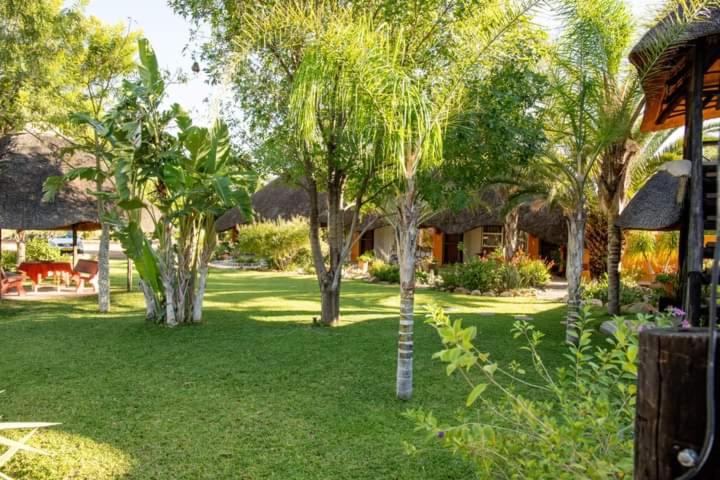 奥奇瓦龙戈Lion's Den Guesthouse Otjiwarongo的院子中间有树的房子