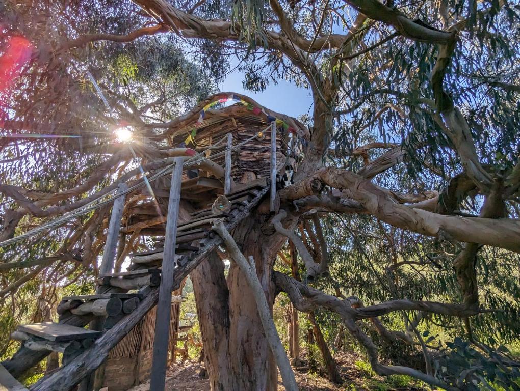 拉戈斯Magical Treehouse的树屋