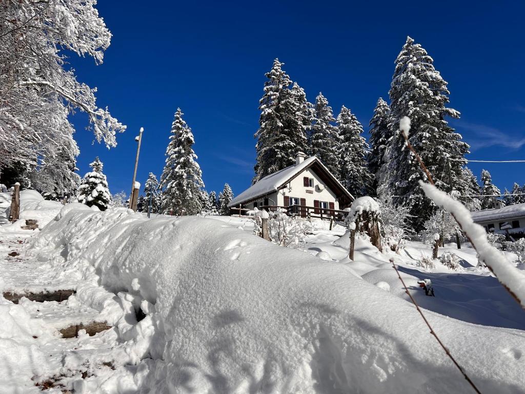 Saint-Imier乐乔利度假屋的树前的雪覆盖的房子