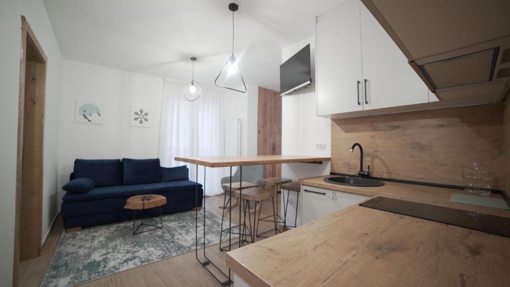 亚霍里纳Madulo apartman的厨房配有蓝色的沙发和桌子
