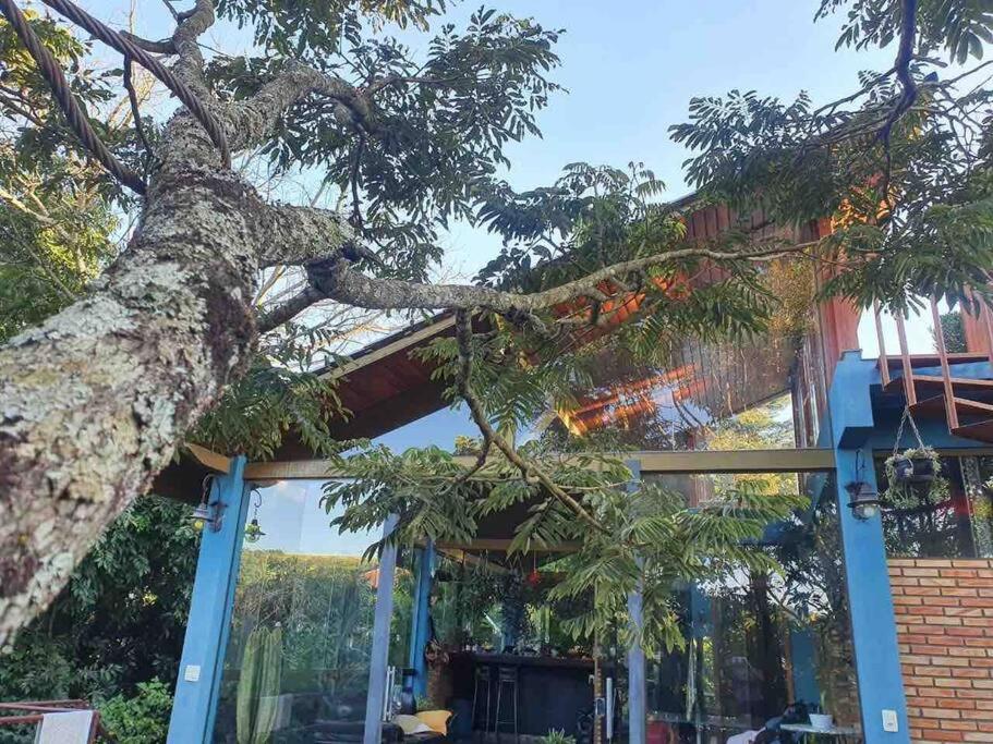 欧鲁普雷图Casa completa próxima a Ouro Preto! Amarantina的树在建筑物上边的树