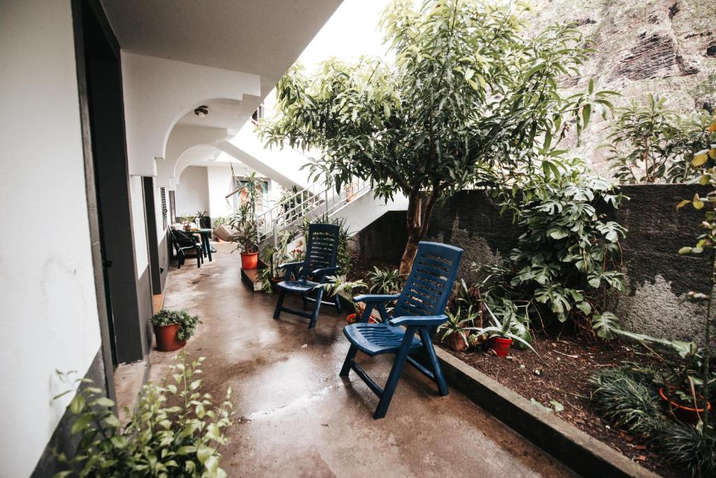 圣维森特Casa da Avo Rosa的两把蓝色椅子坐在种有植物的庭院里