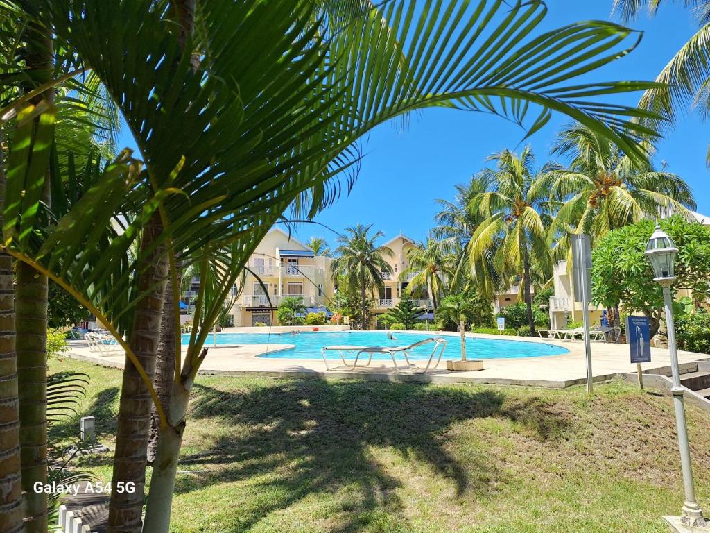 弗利康弗拉克Le Tamier - Amazing holidays的游泳池前的棕榈树