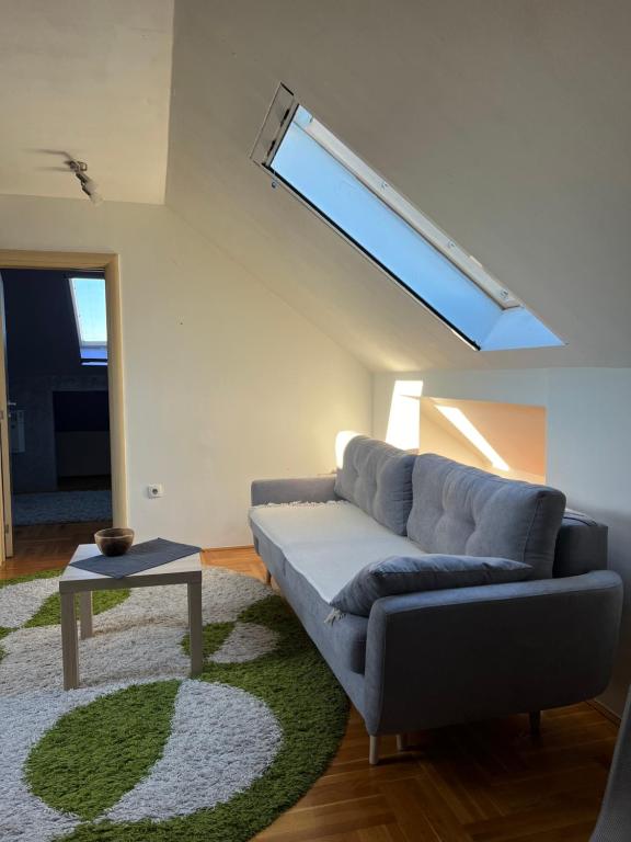 LedineLibrary suite 1的带沙发和天窗的客厅
