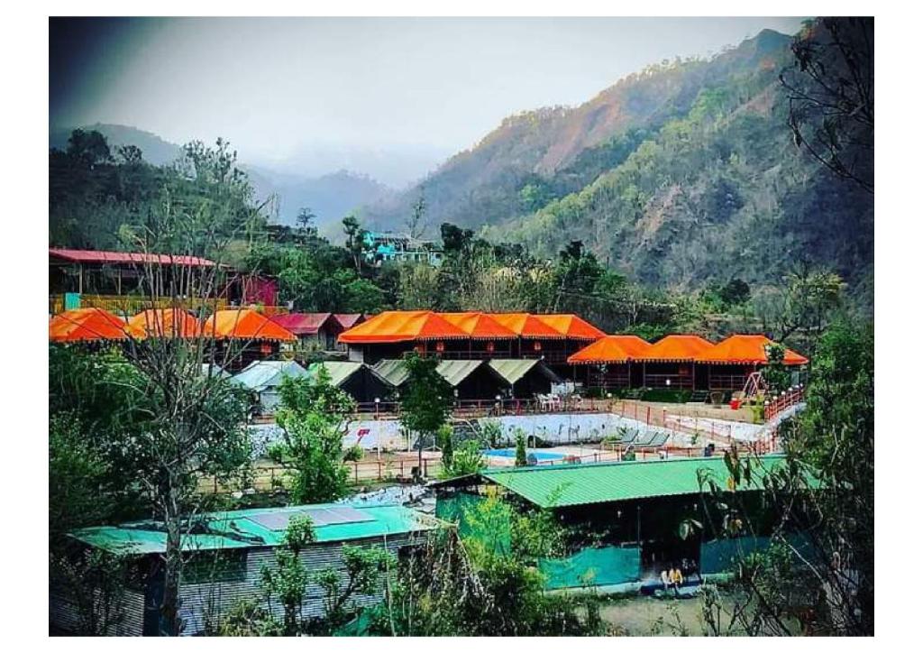 瑞诗凯诗Anandam Camping的一群在山边有橙色屋顶的建筑