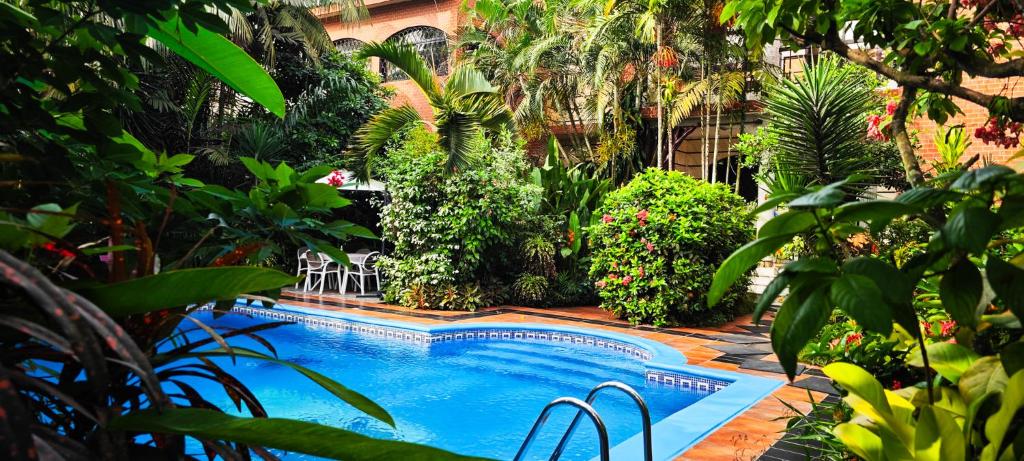 阿比让米娅别墅酒店的花园中的游泳池,种植了树木和植物