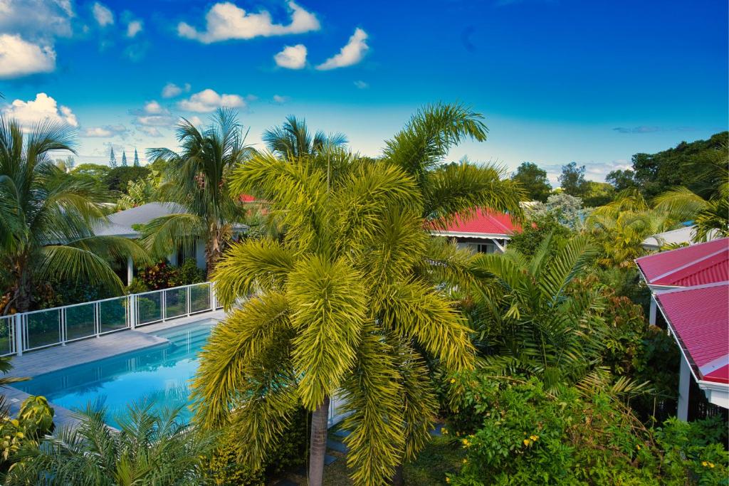 圣弗朗索瓦Hôtel & Villa Le Cocotel的棕榈树和游泳池的顶部景色