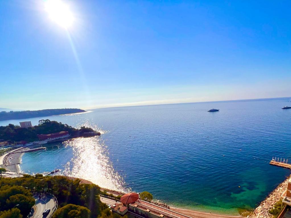 蒙特卡罗Luxury Residence in Prime Monte Carlo的享有海滩和海洋的空中景致