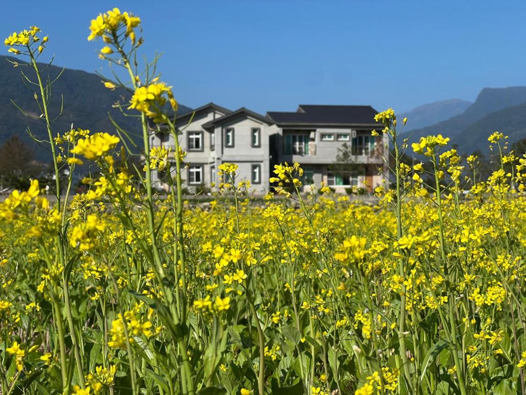池上米之颂民宿的一座房子前面的一片黄花