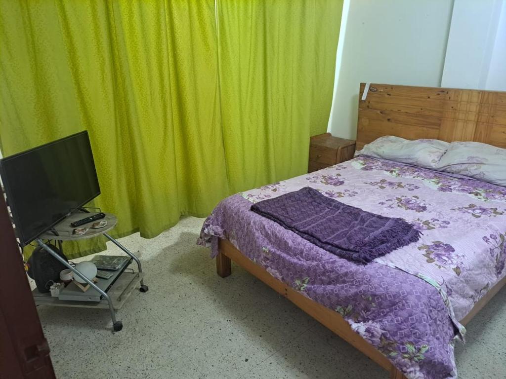 伊洛Sientete en casa的一间卧室配有床、电视和绿色窗帘