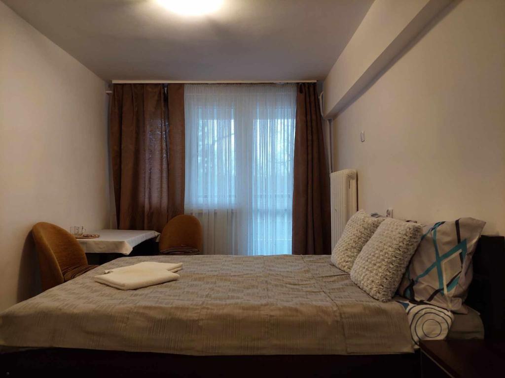 罗兹Ośrodek Wypoczynkowo-Hotelowy PRZĄŚNICZKA的一间卧室设有一张大床和窗户