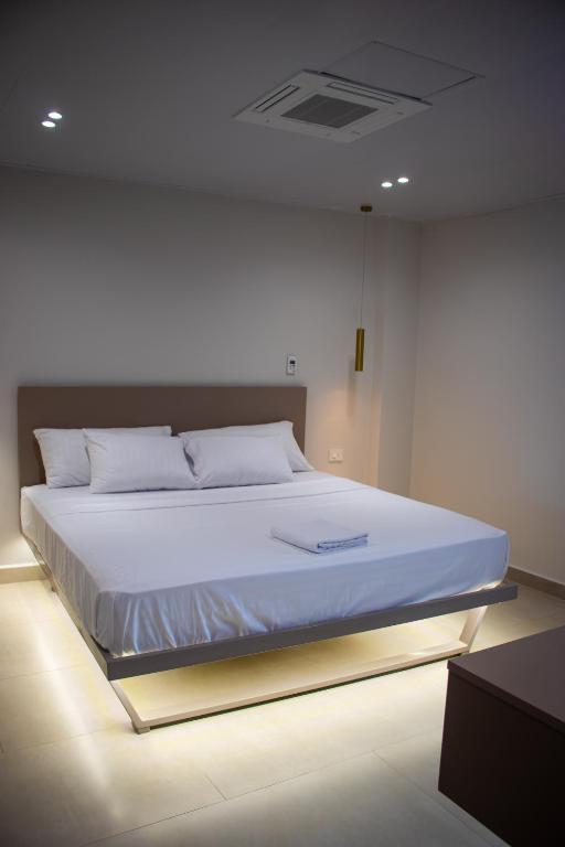 新洛哈Hotel Amazonas Suite , suite lujosa的一张大白色的床铺,房间光线充足
