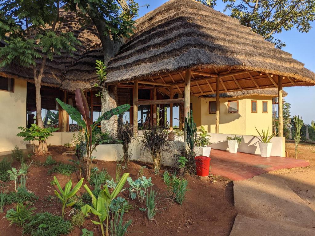 MbaleCwmbale Eco-Safari Lodges, Restaurant and Zoo.的茅草屋顶和门廊的房子