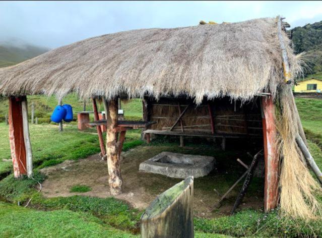 OvejeríaHacienda Yanahurco的草屋顶的小屋