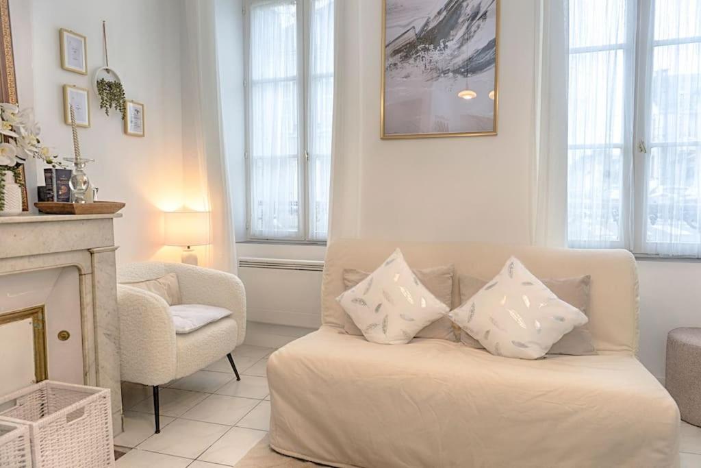 奥尔良Le Nid Cosy -Au Cœur d'Orléans的客厅配有带枕头的沙发