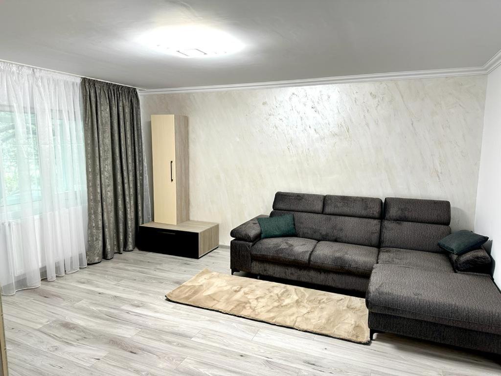 BuzăuELITE APARTMENT的一间客厅,客厅内配有棕色沙发