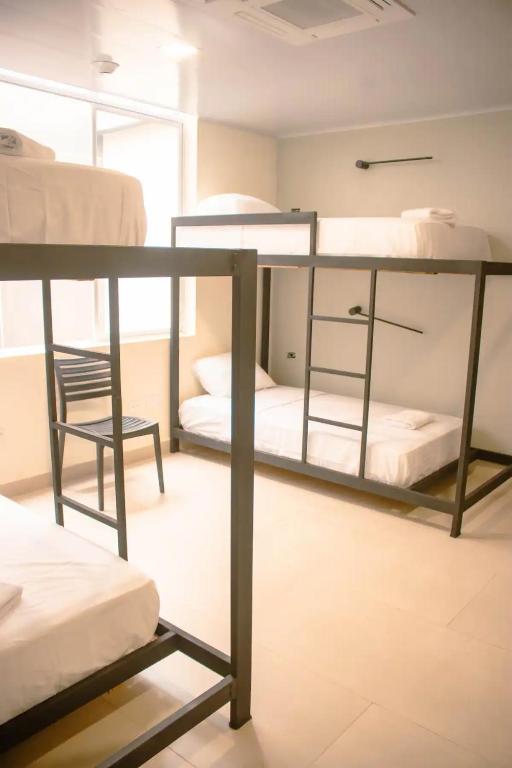 新洛哈Hotel Amazonas Suite, Habitación con literas的带两张双层床和椅子的房间