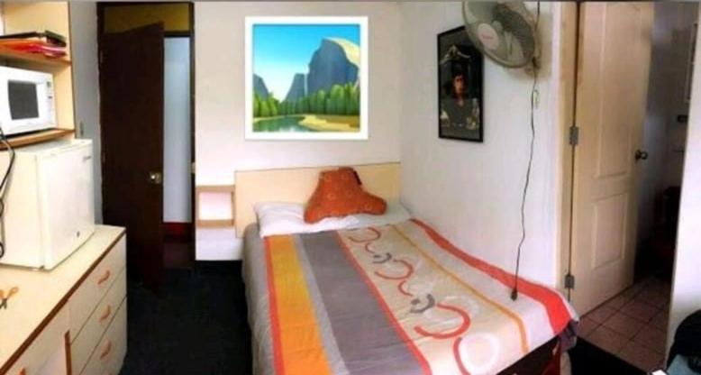 利马Hospedaje Miraflores 17的一间卧室配有一张壁画床