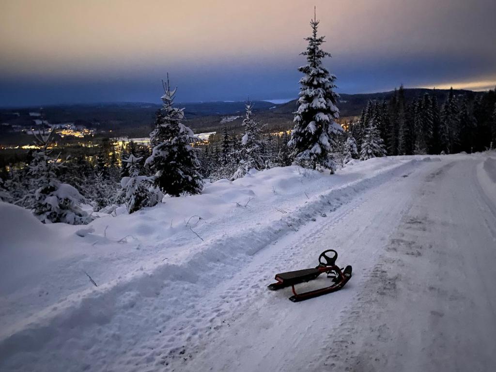 HarestuaBed and Breakfast Hadeland的雪板在雪覆盖的道路的一侧