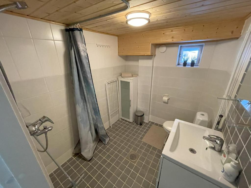 埃斯波Lake view apartment, Espoo的一间带水槽和淋浴的小浴室