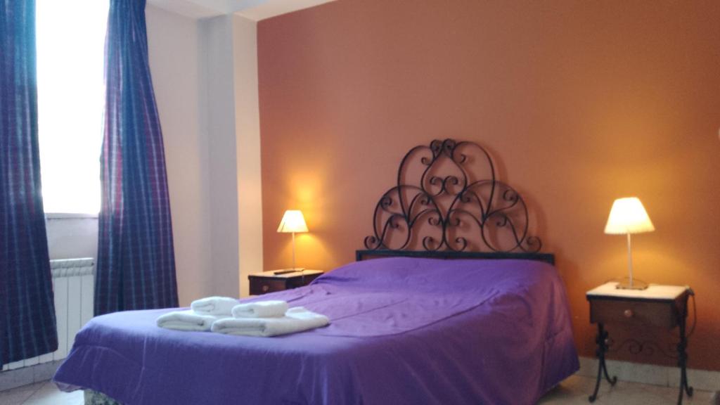 萨尔塔Hotel Nuevo CASABLANCA的一间卧室配有一张紫色床和毛巾