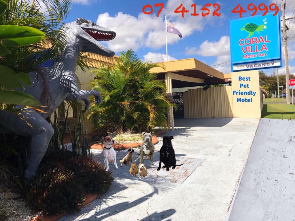 班达伯格班达伯格珊瑚别墅汽车旅馆的一群狗站在恐龙雕像旁边