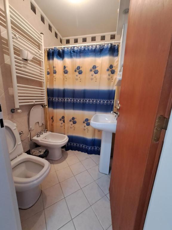 里奥加耶戈斯Vientos del Sur的一间带卫生间和水槽的浴室